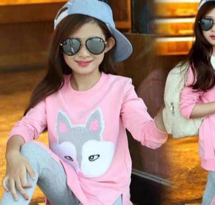 Girls' Big Pink Girls'  Big Pink or Orange  Shirt with Leggings Set J&E Discount Store 